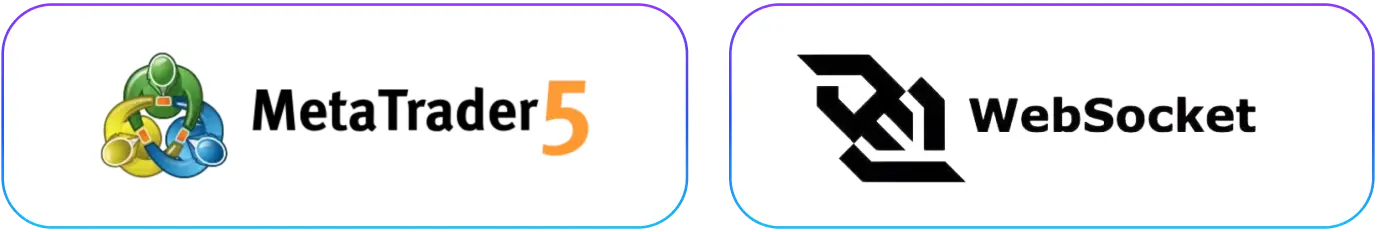 meta trader 5 & web socket